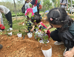 素质拓展推荐课程