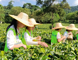 自然科学推荐课程